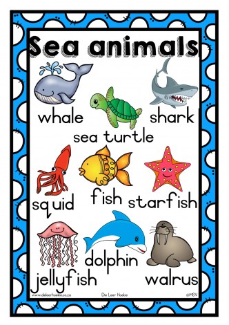 Animals Posters A3. (M)_3